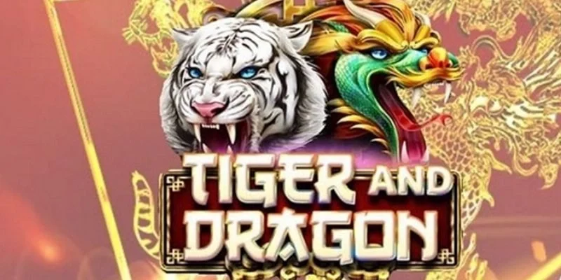 Bàn rồng hổ trực tuyến thường dành cho người mới chơi