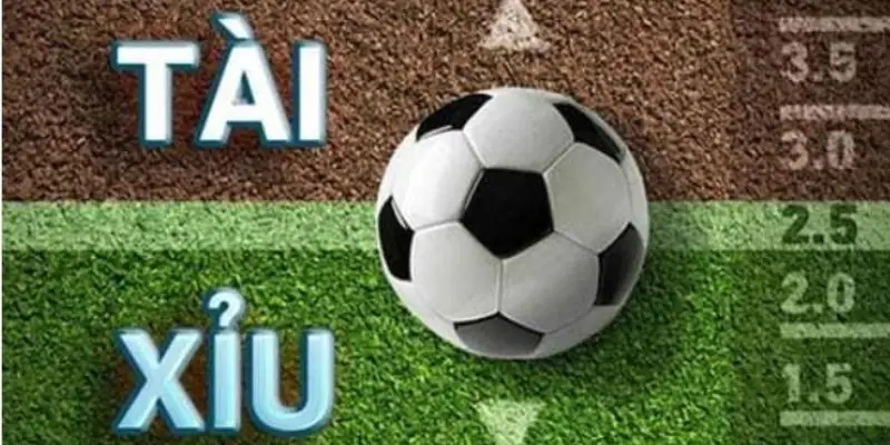 Kèo được xuất hiện trong nhiều giải đấu siêu lớn